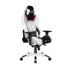 AKRacing Masters Series Premium Gaming Chair, Arctica (AK-PREMIUM-ARCTICA)