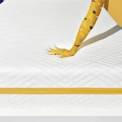 Simmons Plush 12" Memory Foam Mattress -Homcom Crosley Shop GUEST dd03e80b c459 4bc0 89e8 361d63e582c2